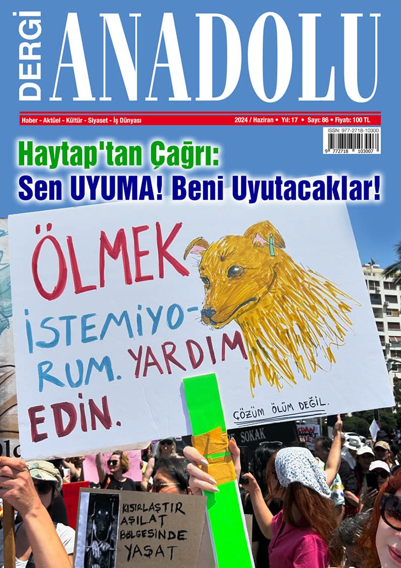 86 kapağı