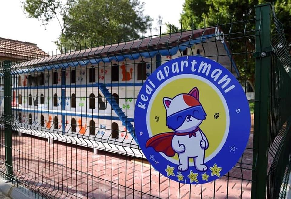 Kedi Evi